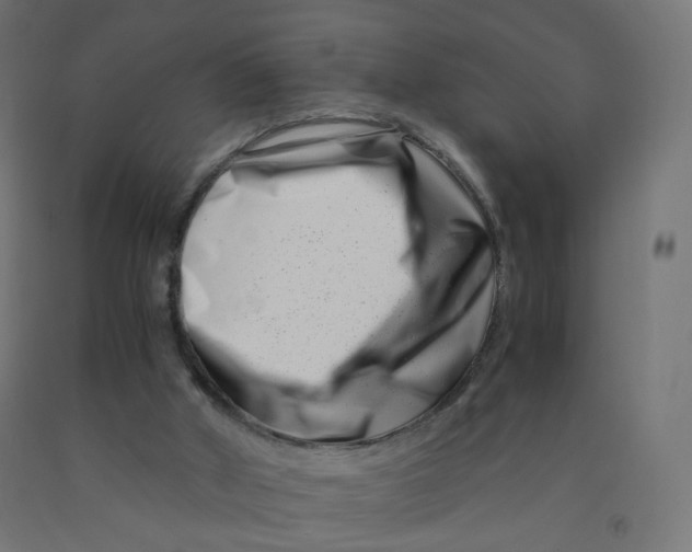 X0000090880010200708241950