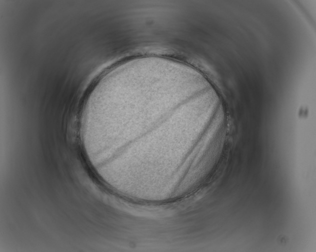 X0000090880012200708241950