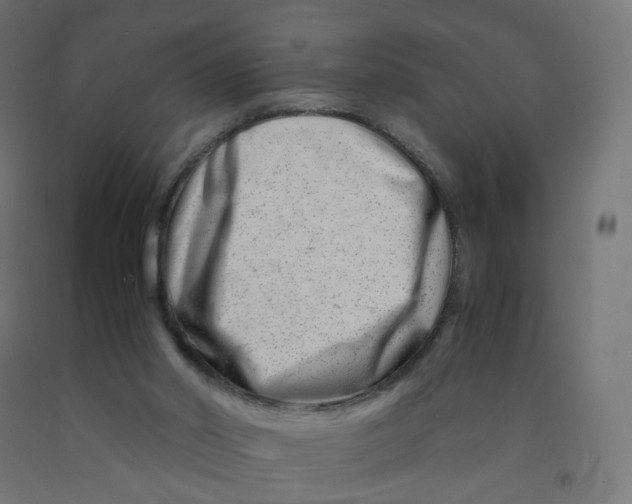 X0000090880014200708241950