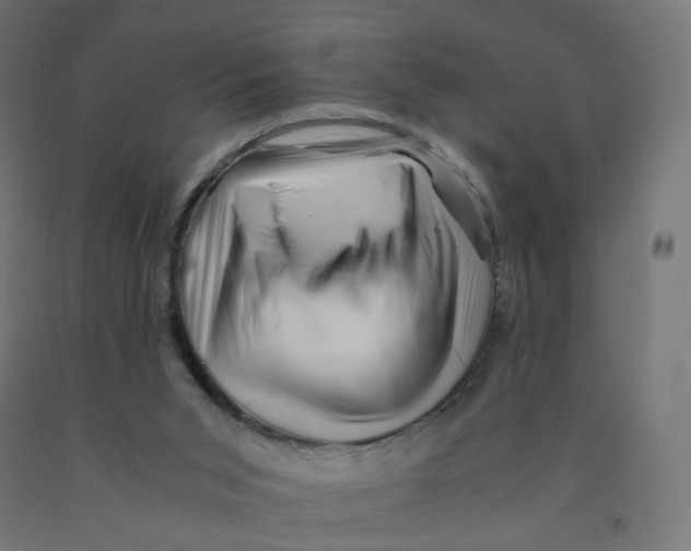 X0000090880015200708241950