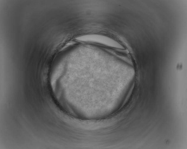 X0000090880018200708241950