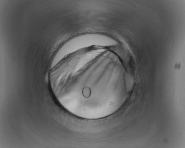 X0000090880019200708241950