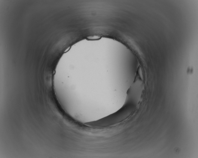 X0000090880021200708241950