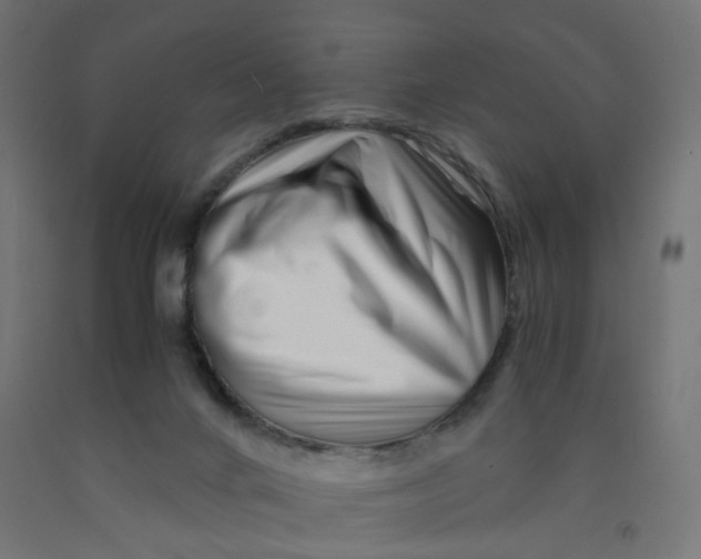 X0000090880024200708241950