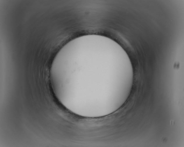 X0000090880025200708241950