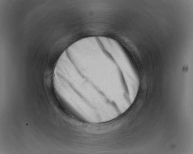 X0000090880026200708241950