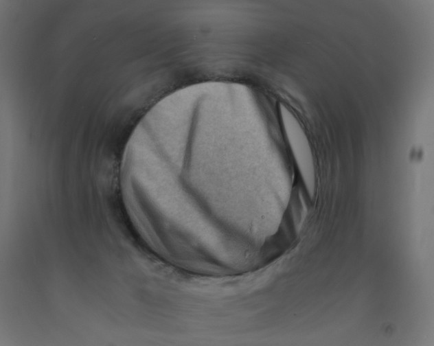 X0000090880029200708241950