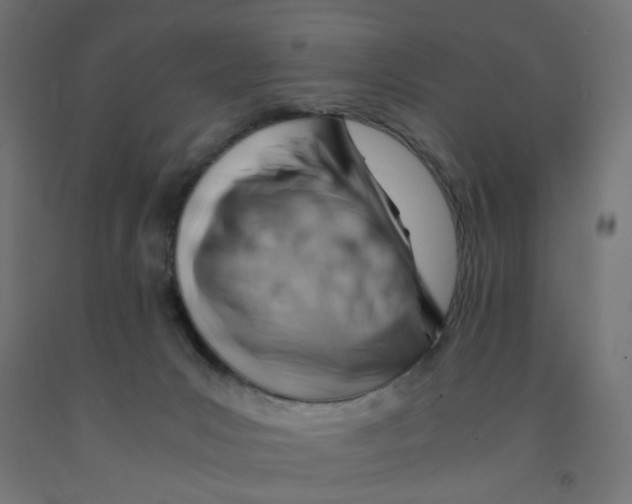 X0000090880031200708241950