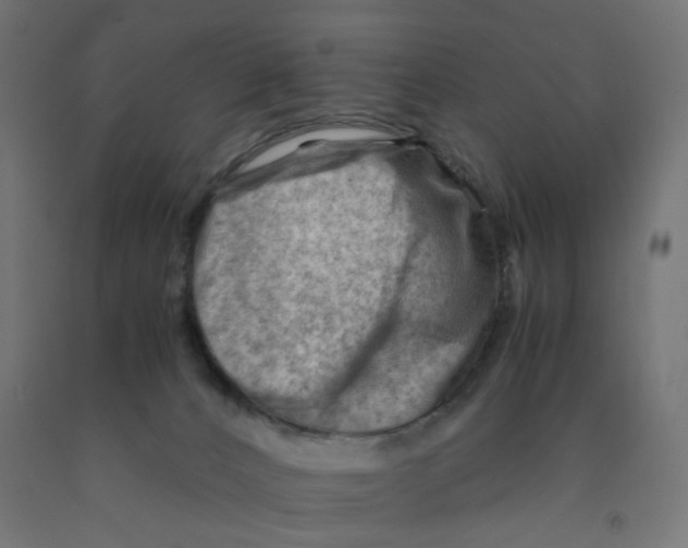 X0000090880032200708241950