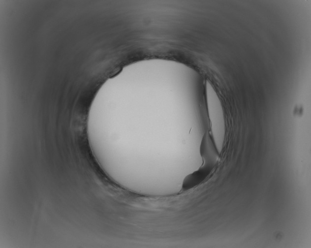 X0000090880033200708241950