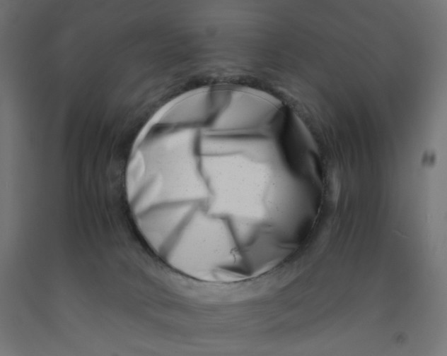 X0000090880034200708241949