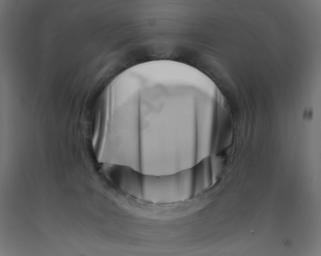 X0000090880035200708241949