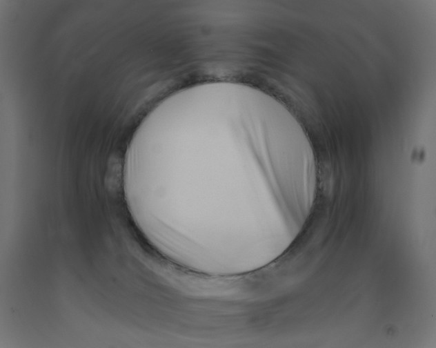 X0000090880036200708241949