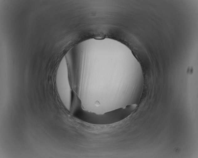 X0000090880037200708241949