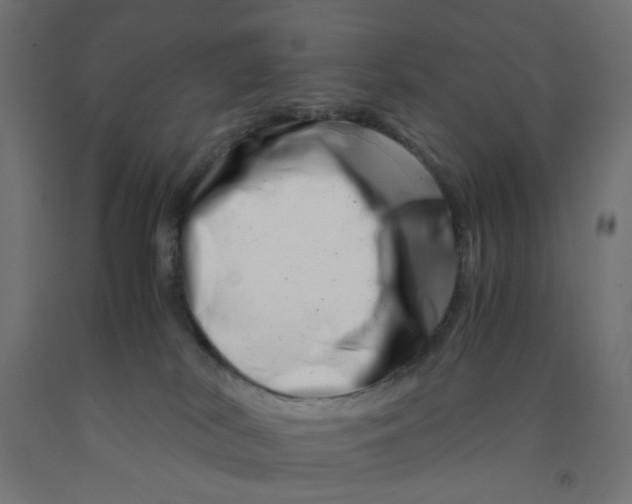 X0000090880038200708241949