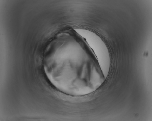 X0000090880039200708241949