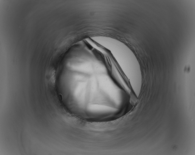 X0000090880041200708241949