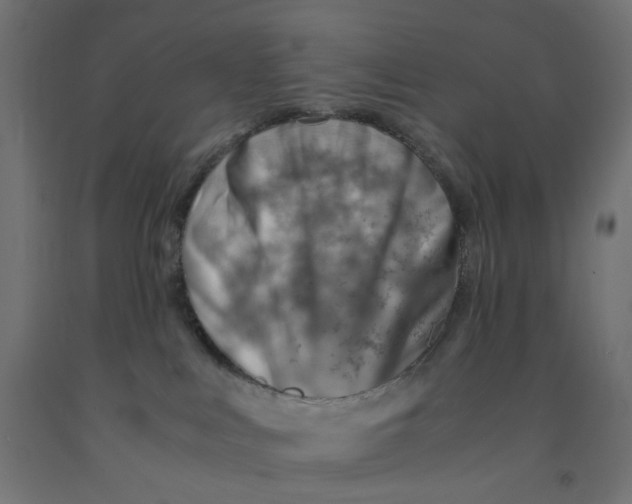 X0000090880043200708241949