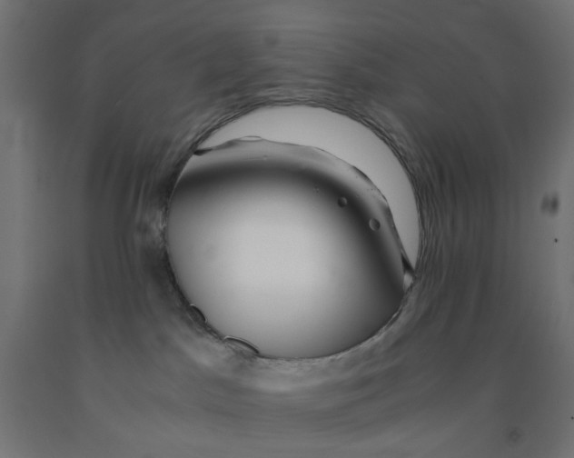 X0000090880045200708241949