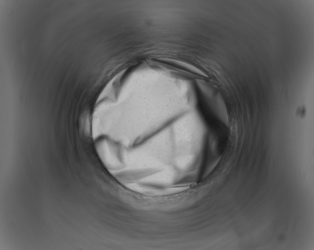 X0000090880046200708241949