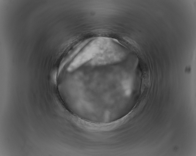 X0000090880047200708241949