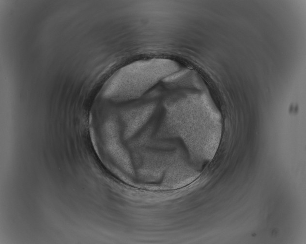 X0000090880048200708241949