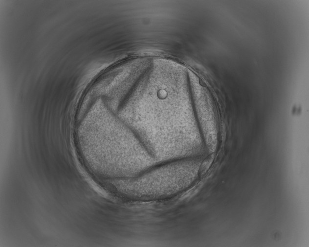 X0000090880049200708241949