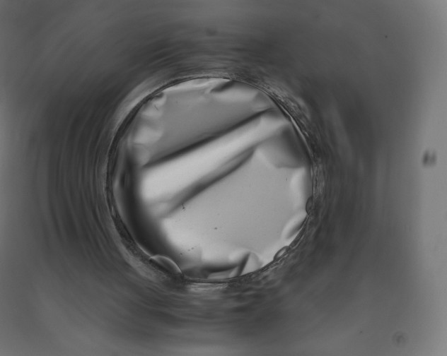 X0000090880051200708241949