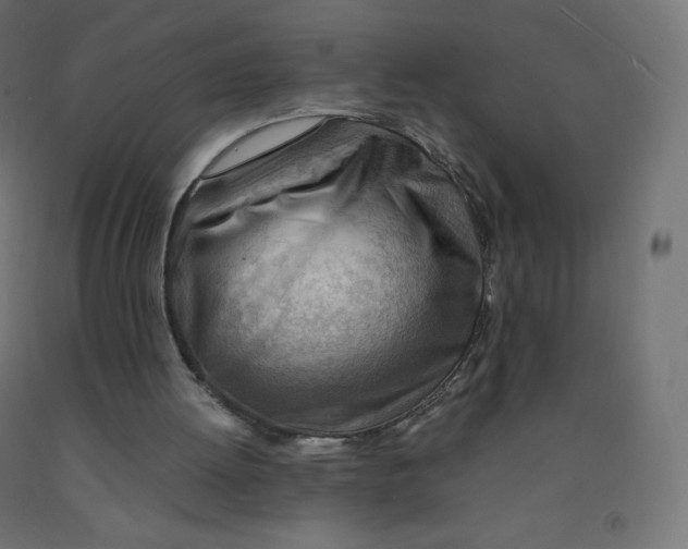 X0000090880052200708241949