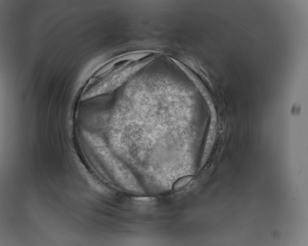 X0000090880053200708241949