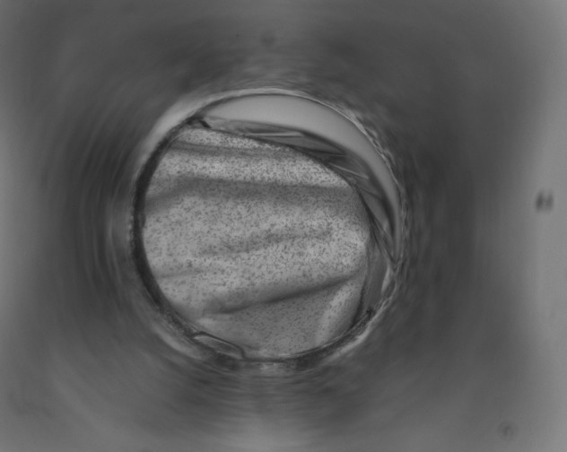 X0000090880056200708241949