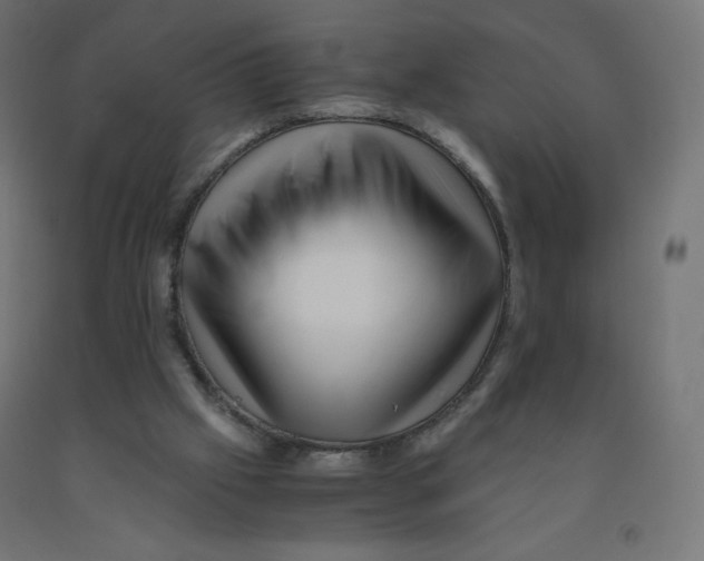 X0000090880057200708241949