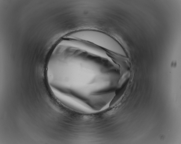 X0000090880060200708241949