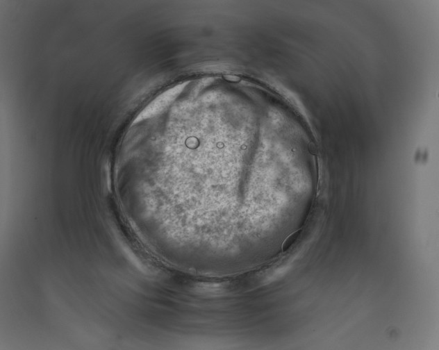 X0000090880061200708241949