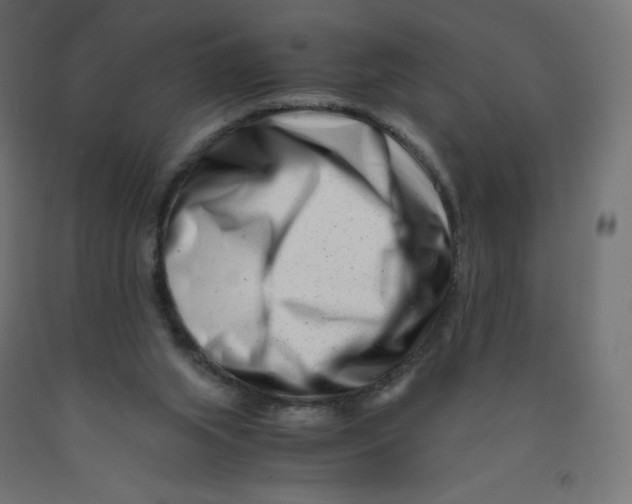 X0000090880063200708241949