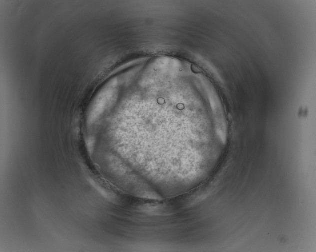 X0000090880065200708241949