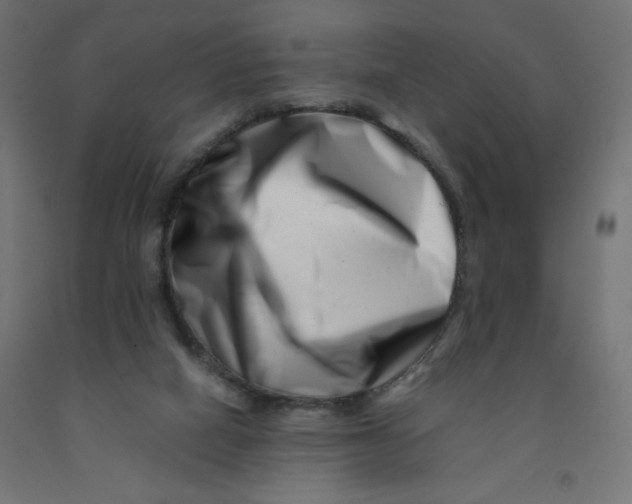 X0000090880066200708241949