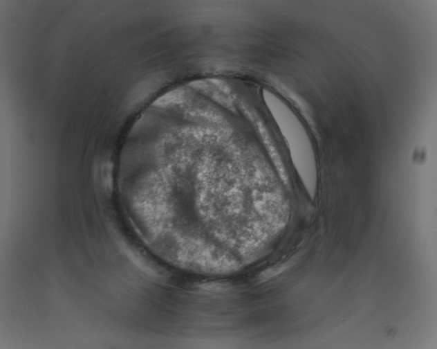 X0000090880067200708241949