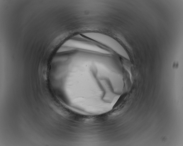 X0000090880068200708241949