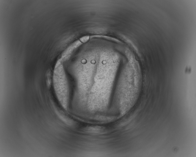 X0000090880069200708241949