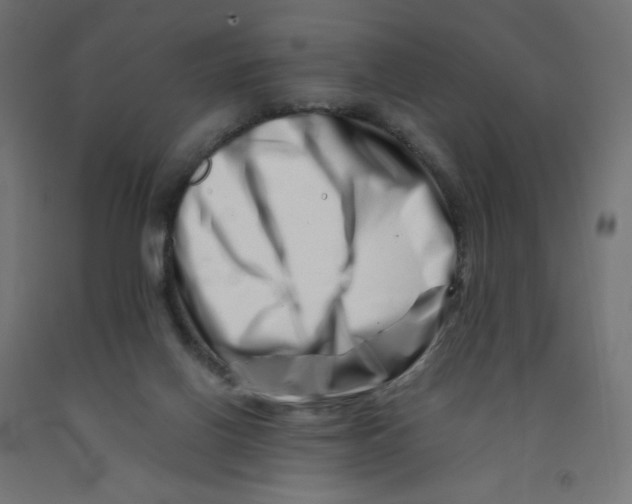 X0000090880070200708241949