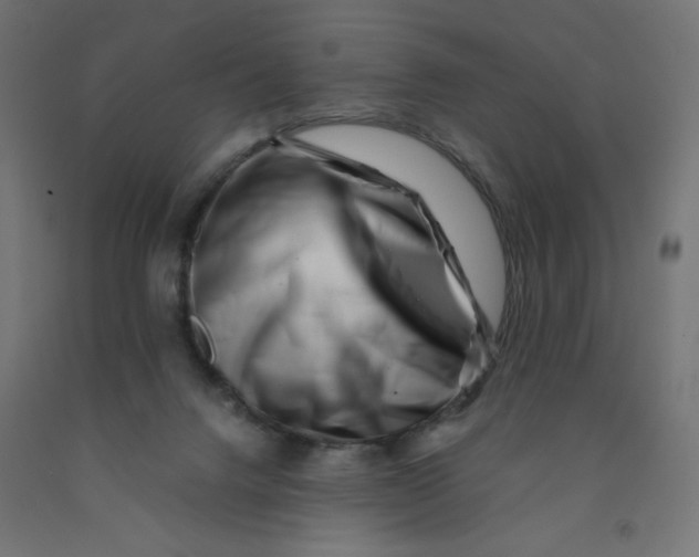 X0000090880072200708241949