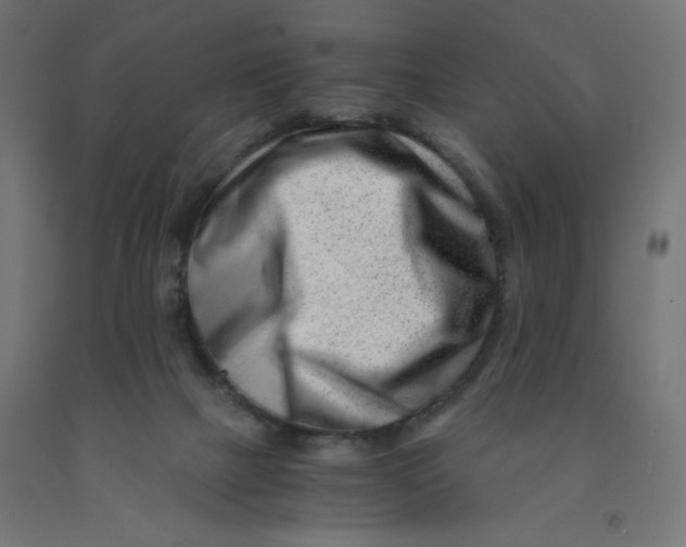 X0000090880073200708241949