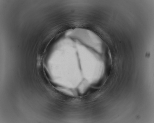 X0000090880075200708241949