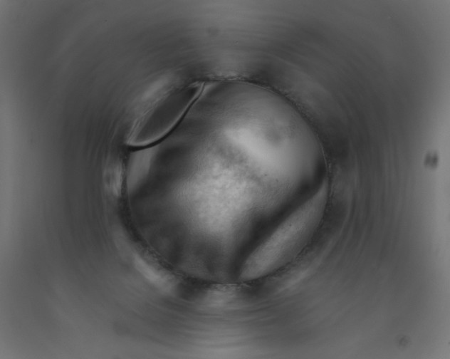 X0000090880076200708241949