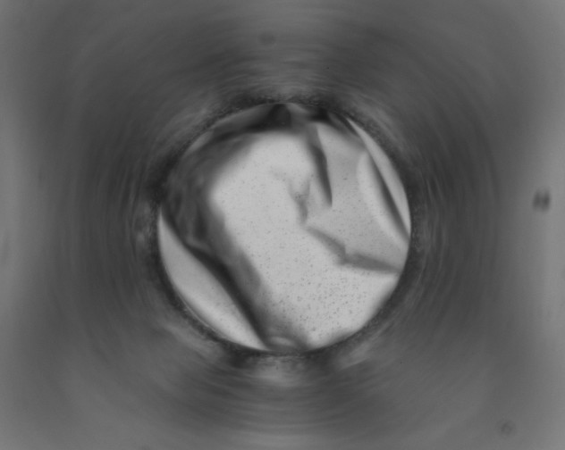 X0000090880077200708241949