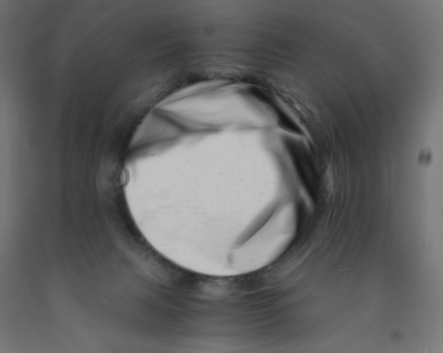 X0000090880079200708241949