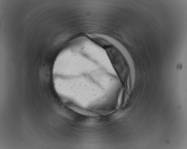 X0000090880080200708241949