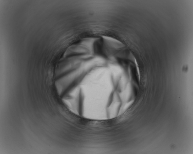 X0000090880082200708241949