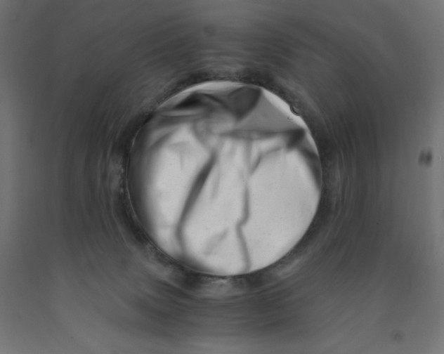 X0000090880083200708241949